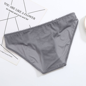 Lace Mesh Women's Brief D096