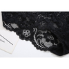 ALL Lace Women's Brief D163