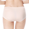 Ice Silk Invisible Seamless Women's Brief 6013