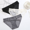 Lace Mesh Women's Brief D096