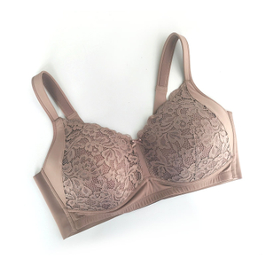 Plus Size Lace Bra P002