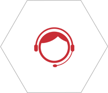 06
